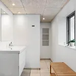 Ae299-aeroskobing-ryggerholmevej-2 Holiday home *