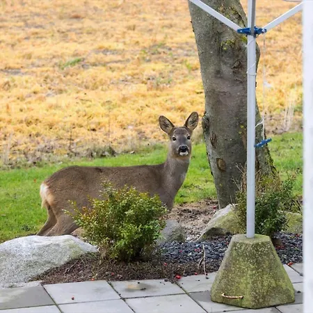 Ae299-aeroskobing-ryggerholmevej-2 *